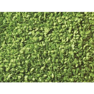 Frunze, verde deschis, pentru modelism, 50g