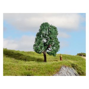 Stejar pentru modelism,10 cm