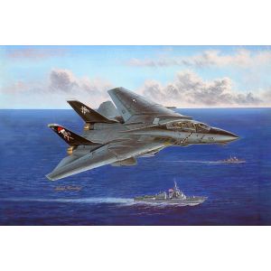 Kit de construit avion F-14B Tomcat 1:48