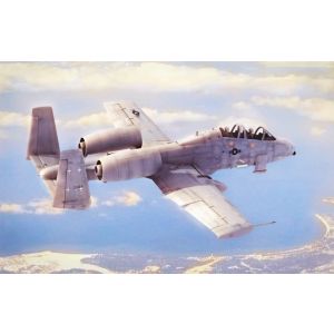 Kit de construit avion N/AW A-10A Thunderbolt II 1:48