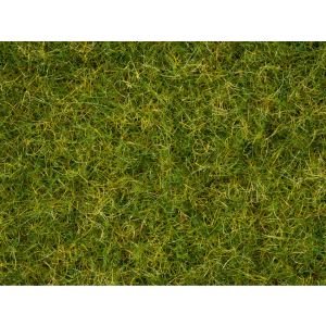 Iarba Vara “Summer Meadow”,  2,5 - 6 mm, 50 g