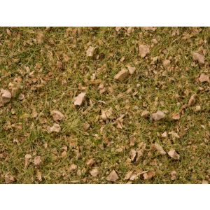 Iarba amestec, alpin / pasune pentru modelism, 2,5-6 mm, 50 g