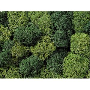 Licheni pentru modelism , 35 g