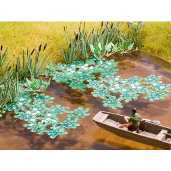 Nuferi pentru modelism, 60 cm2