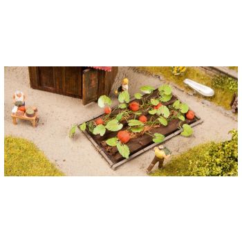 Dovleci pentru modelism , 8 buc