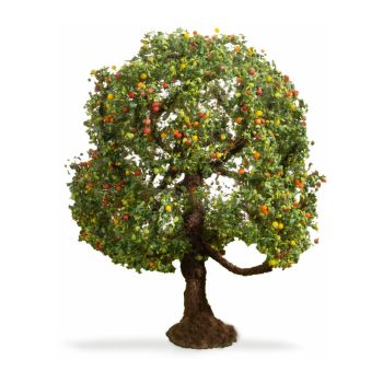 Pom fructifer , Mar pentru modelism, 8 cm